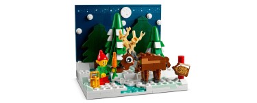 LEGO: Le jardin du Père Noël (40484) offert dès 170€ d'achat