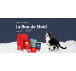 Husse: 1 box de Noël pour chat à gagner