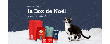 Husse: 1 box de Noël pour chat à gagner
