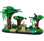 LEGO: LEGO® Hommage à Jane Goodall (40530) offert dès 120€ d'achat