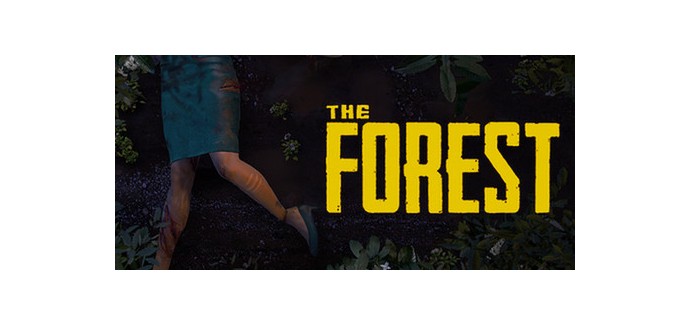 Steam: Jeu The Forest sur PC (dématérialisé) à 5,03€