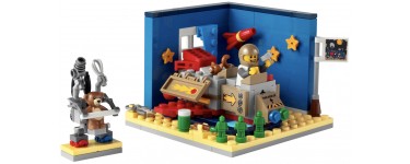 LEGO: LEGO® Ideas Aventures à bord du vaisseau USS en carton (40533) offert dès 160€ d'achat