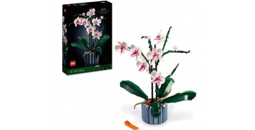 Amazon: LEGO Icons L’Orchidée - 10311 à 35,43€