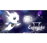 Nintendo: Jeu Evergate sur Nintendo Switch (dématérialisé) à 2,49€