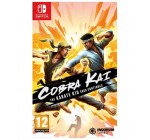 Cdiscount: Jeu Cobra Kai : The Karate Kid Continues sur Nintendo Switch à 16,49€