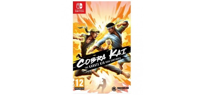 Cdiscount: Jeu Cobra Kai : The Karate Kid Continues sur Nintendo Switch à 16,49€