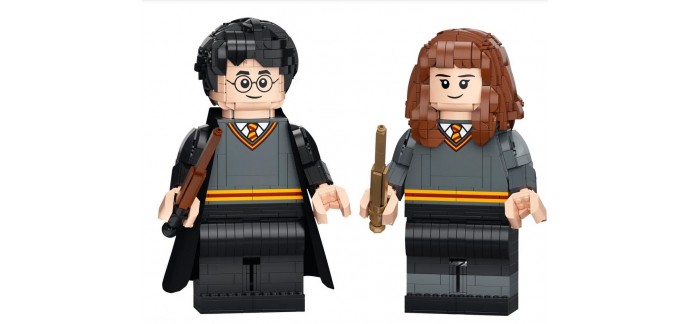 LEGO: Lot de 2 figurines géantes LEGO Harry Potter et Hermione Granger - 76393 à 90,99€