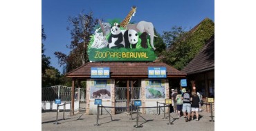 Zoo Parc de Beauval: Parking cars et voitures gratuit pour les groupes
