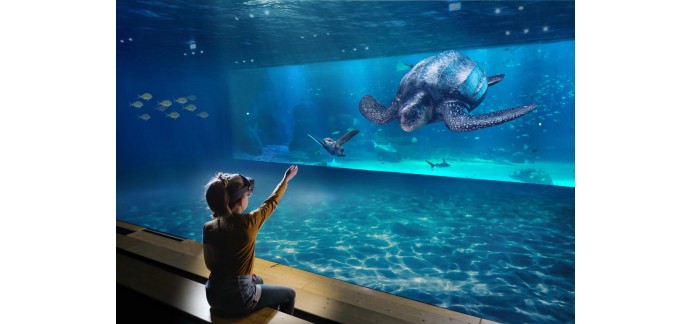 Weo: Des entrées pour l'aquarium Nausicaá à Boulogne-sur-Mer à gagner