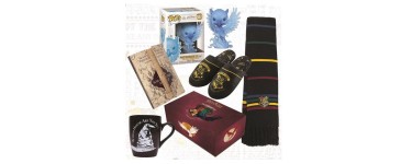 Fnac:  Coffret Wootbox Harry Potter Poudlard 2021 en solde à 20€