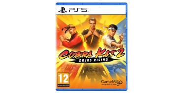 Amazon: Jeu Cobra Kai 2 Dojos rising sur PS5 à 19,99€