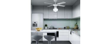 Leroy Merlin: Ventilateur de plafond Barbade INSPIRE, blanc canné, 60 W en solde à 17,16€