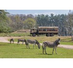 Carrefour: 1 lot de 2 entrées pour le Zoo Safari de Thoiry à gagner 