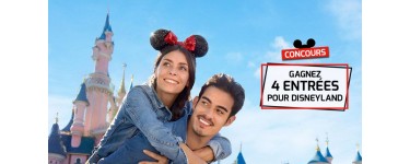 Relais du Vin & Co: 1 lot de 4 entrées pour Disneyland Paris à gagner