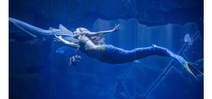 Le Journal de Mickey: 100 lots de 2 entrées enfant pour l'Aquarium de Paris à gagner