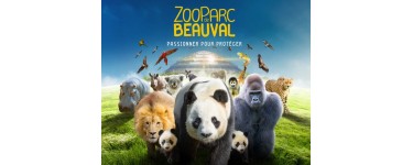 Zoo Parc de Beauval: 3 lots de 4 entrées pour 1 journée de visite au Zoo de Beauval à gagner