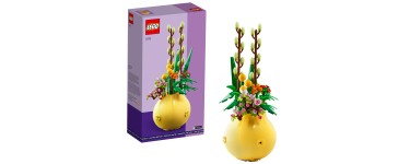 LEGO: LEGO® Le pot de fleurs (40588) offert dès 150€ d'achat