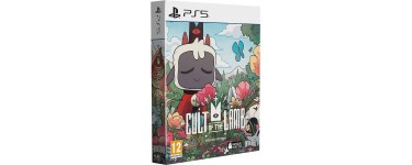 Amazon: Jeu Cult of the Lamb : Deluxe Edition sur PS5 à 29,99€