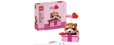 LEGO: LEGO® La boîte cadeau Cœur (40679) offert dès 75€ d'achat