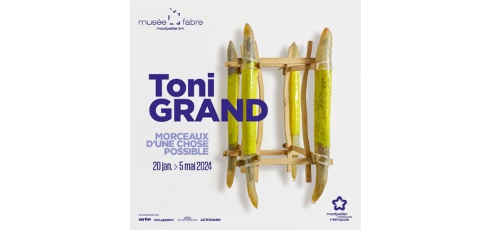 Arte: 10 lots de 2 invitations pour l'exposition "Toni Grand, morceaux d’une chose possible" à gagner