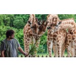 France Bleu: 1 pass famille pour le Zoo de Jurques à gagner