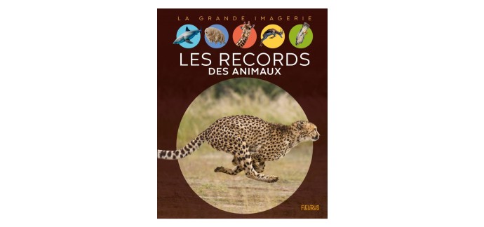 JDE: 5 livres "Les records des animaux" à gagner