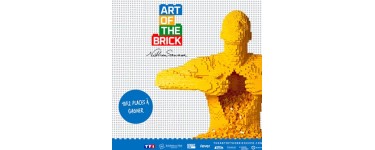 RATP: 10 x 2 places pour l'exposition Art of The Brick à gagner