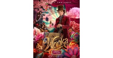 Carrefour: 60 DVD et 60 Blu-Ray du film "Wonka" à gagner