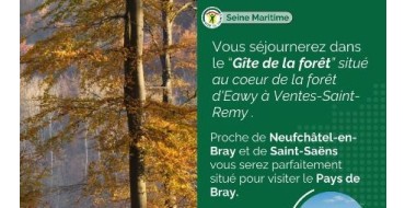 France Bleu: 1 séjour dans un gite en forêt + 4 entrées pour le Labyrinthe Artmazia à gagner