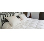 Linfodurable: 1 couette fraicheur en duvet de canard à gagner
