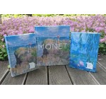 Hachette: 1 lot de 3 livres sur le peintre Monet à gagner