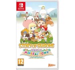 Amazon: Jeu Story of Seasons Friends of Mineral Town sur Nintendo Switch à 25,33€