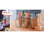 Cuisine Actuelle: 15 moules à glaces Freezy GASPAJOE à gagner