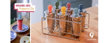 Cuisine Actuelle: 15 moules à glaces Freezy GASPAJOE à gagner