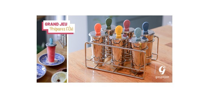 Cuisine Actuelle: 15 moules à glaces Freezy GASPAJOE à gagner