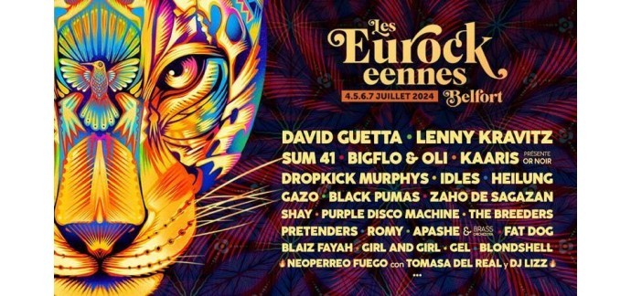 France Bleu: 1 lot de 2 invitations pour le festival des Eurockéennes à gagner
