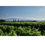 Terre de Vins: Des lots de bouteilles de vin +  invitations pour le Banquet du Géant à gagner