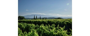 Terre de Vins: Des lots de bouteilles de vin +  invitations pour le Banquet du Géant à gagner