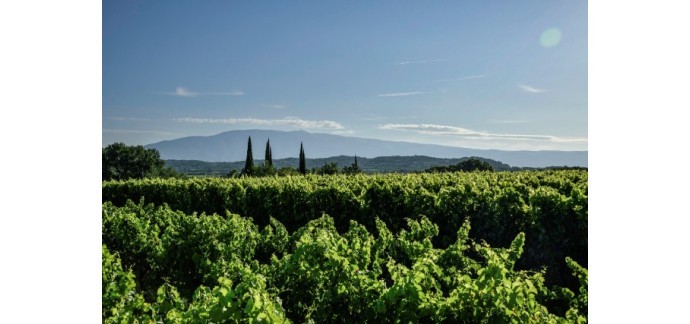 Terre de Vins: Des lots de bouteilles de vin +  invitations pour le Banquet du Géant à gagner