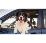 France Bleu: 1 bon d'achat Bosch Car Service à gagner