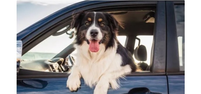 France Bleu: 1 bon d'achat Bosch Car Service à gagner