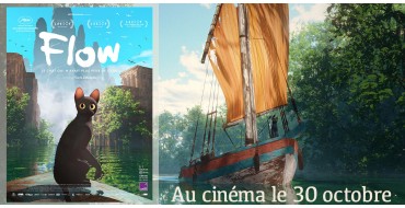 Femme Actuelle: Des places pour le film "Flow" + divers lots à gagner