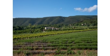 Terre de Vins: 1 séjour oenotouristique à Vaugines + divers cadeaux à gagner