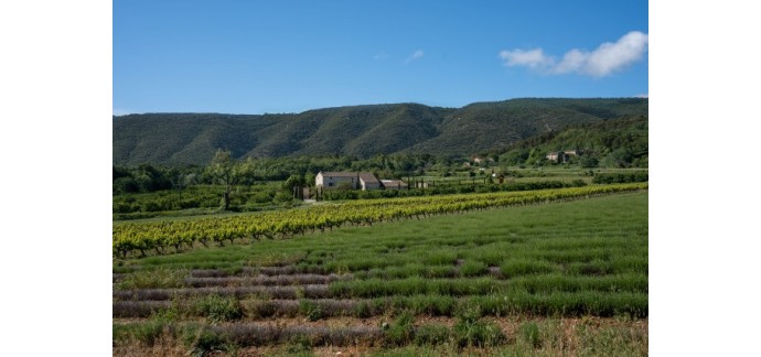 Terre de Vins: 1 séjour oenotouristique à Vaugines + divers cadeaux à gagner