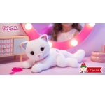 Femme Actuelle: 6 chats en peluche "Cuty Bella Fashionista" à gagner