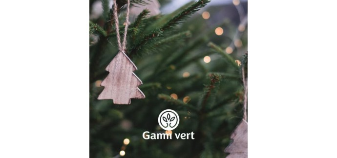 Weo: 24 sapins de Noël dans un magasin Gamm Vert à gagner