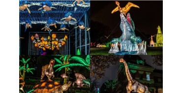 Sortiraparis.com: 5 lots de 2 invitations pour découvrir "Jurassique en voie d'illumination" à gagner