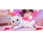 Femme Actuelle: 6 chats en peluche "Cuty Bella Fashionista" à gagner