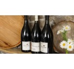 Terre de Vins: 3 magnums de vin à gagner