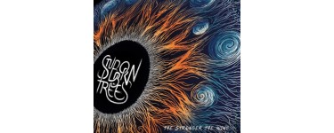 Rollingstone: 5 albums CD "The Stronger The Wind" de Stubborn Trees, 2 t-shirts à gagner